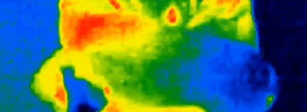 ezgif-com-video-to-gif-4